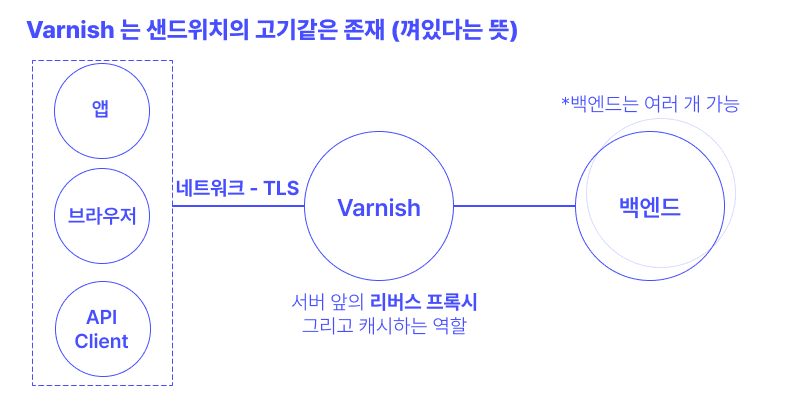 varnish-structure